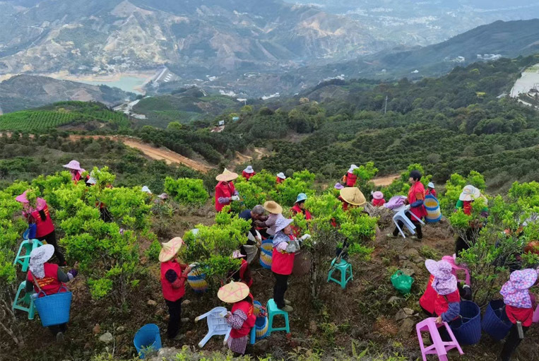 圖片名稱